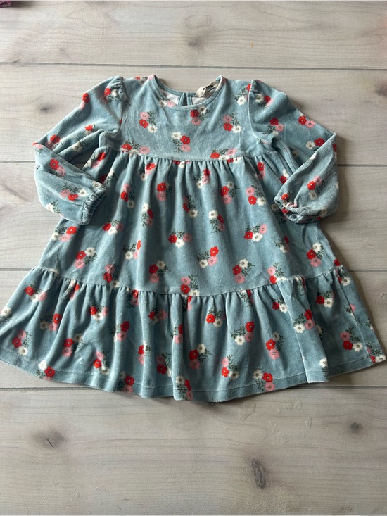 Mini Boden Other - Mini Boden Floral Velour Dress